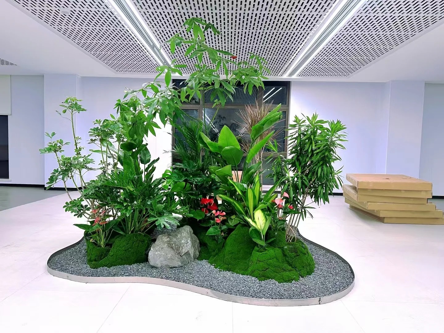 专业绿植租摆服务，宁波镇海的绿色贴心之选